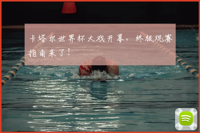 卡塔尔世界杯大戏开幕,终极观赛指南来了!