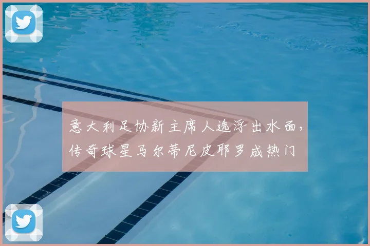 意大利足协新主席人选浮出水面，传奇球星马尔蒂尼皮耶罗成热门