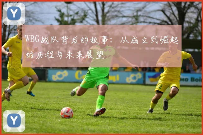 WBG战队背后的故事：从成立到崛起的历程与未来展望