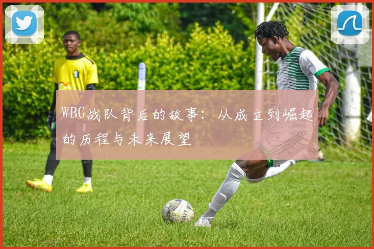 WBG战队背后的故事：从成立到崛起的历程与未来展望