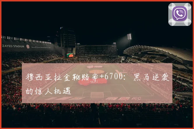 穆西亚拉金靴赔率+6700：黑马逆袭的惊人机遇